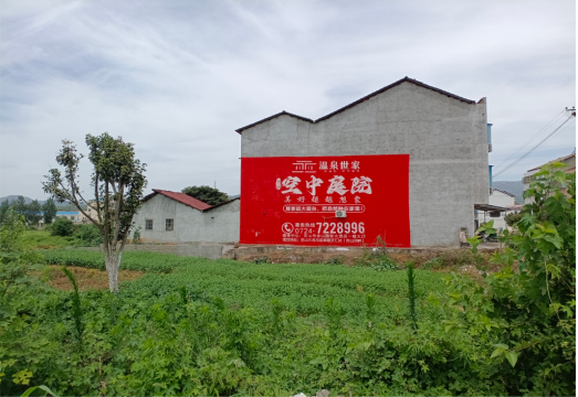 略阳做墙体广告的意义