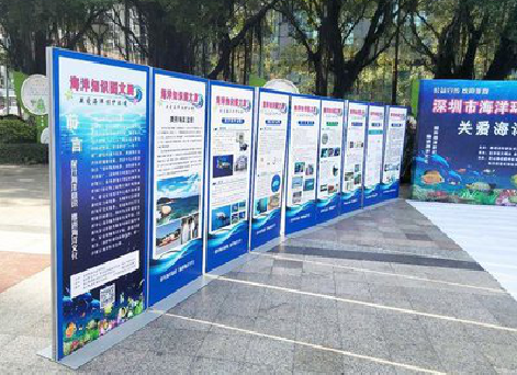 略阳KT板的种类和知识。